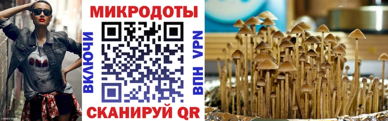 Купить где  Урень  Галлюциногенные грибы Psilocybine cubensis 